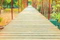 Walkway wood bridge in natural mangrove forest environment at Chanthaburi travel Thailand Royalty Free Stock Photo