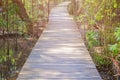 Walkway wood bridge in natural mangrove forest environment at Chanthaburi travel Thailand Royalty Free Stock Photo