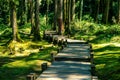 Walkway in the woods in alishan