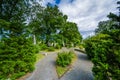 Walkways and graves at Laurel Hill Cemetery, in Philadelphia, Pennsylvania