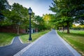 Walkways at Trinity College, in Hartford, Connecticut. Royalty Free Stock Photo