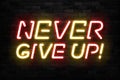 Vector realistic isolated neon sign of Never Give Up typography logo