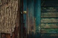 Wall of an abandoned building on the background. Bokeh. Scratched blue paint. Tree bark. Royalty Free Stock Photo