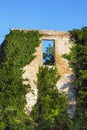 Wall of abandoned house overgrown with green ivy against blue sky on sunny day Royalty Free Stock Photo