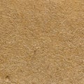 Wall adobe mud and straw Royalty Free Stock Photo