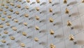 Wall of animal skulls at California Academy of Sciences Museum in San Francisco Royalty Free Stock Photo