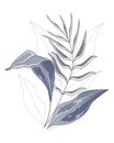 Wall art, delicate grey-blue watercolor leaves and contour leaves on a white background. Line art, poster