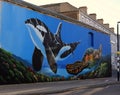 Wall Art, Orca and Turtle Weston super Mare.