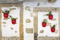 Wall background with flowers in red flower pots Royalty Free Stock Photo