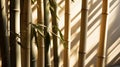 Wall of bamboo stalks illuminated by the warm light of the setting sun, AI-generated.