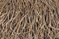 Wall barricade of entangled wood sticks and dried branches wooden background pattern