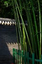 A wall behind bamboo forest Royalty Free Stock Photo