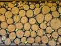 A wall of birch blocks. The ends of the wood create a natural texture