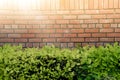 Wall brick and green bush in the park with the sunlight. Wall brick and circle white window over green bush in the park with the s Royalty Free Stock Photo