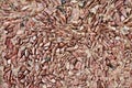 Wall of brown granite gravel Royalty Free Stock Photo