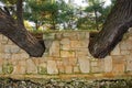 Wall Built Around Trees in Medulin, Croatia 4 Royalty Free Stock Photo