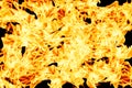 Wall of burning fire background