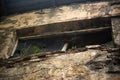 The wall of a burnt industrial building long ago abandoned Royalty Free Stock Photo