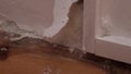 Wall burst with mould zoom out