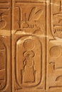 Cartouche of King Senusert I Royalty Free Stock Photo