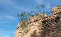 Wall of the castle in Denia, Spain