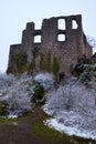 Wall of cattle ruins with frost covered plants