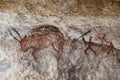 Wall cave with drawings of the primitive person Royalty Free Stock Photo