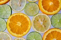 Wall of citrus fruits on white background with lemons and limes and oranges