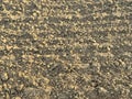 Wall of clay structure, soil background made form mud. Selective focus Royalty Free Stock Photo