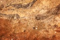 Wall cliff - clay brown soil Royalty Free Stock Photo