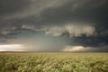 A wall cloud hangs ominously under the updraft of a tornadic supercell thunderstorm. Royalty Free Stock Photo