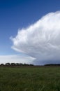 Wall Cloud (Vertical) Royalty Free Stock Photo