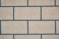 Wall comprised of large bricks painted gray Royalty Free Stock Photo