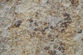 Wall is covered with decorative marble crumbs with white, gray and brown blotches. Facing house with marble plaster with