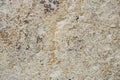 Wall is covered with decorative marble crumbs with white, gray and brown blotches. Facing house with marble plaster with