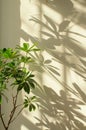 Wall Covered With Green Plants