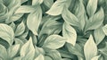 Green and White Wallpaper With Leaves Royalty Free Stock Photo