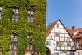 Wall covered in ivy in historic Quedlinburg