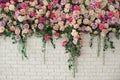 Wall with curly Flowers. Brick wall with beautiful flowers in room. Summer flowers on wall building. Beautiful decorative colorful Royalty Free Stock Photo