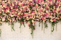 Wall with curly Flowers. Brick wall with beautiful flowers in room. Summer flowers on wall building. Royalty Free Stock Photo