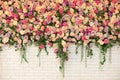 Beautiful decorative colorful roses and peonies on brick white wall. Interior wedding party decor. Royalty Free Stock Photo