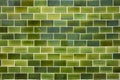 Wall decorated with green ceramic tiles