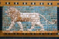 Wall decoration from Ishtar Gate in Istanbul Archaeology Museum, Turkey
