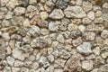 Wall of decorative wild stone, light