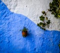 Wall detail on Chefchaouen Blue Medina - Morocco Royalty Free Stock Photo