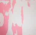 Wall with exfoliated white wallpaper and pink paint beneath Royalty Free Stock Photo