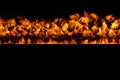 Wall of fire Royalty Free Stock Photo