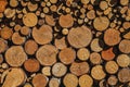 Wall of firewood of various sizes put accurately together