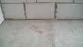 Wall and floor texture. Floors before treatment. Concrete floors in a new apartment. over view repair cracked floor before