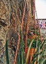 wall flower london flag
